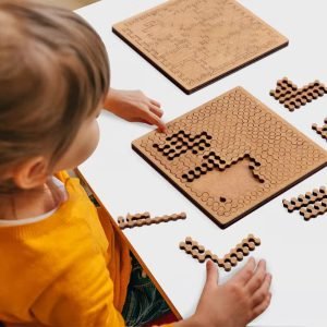 Wooden Puzzle IQ Puzzles